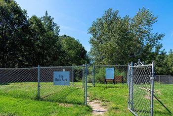 fenced in dog park
